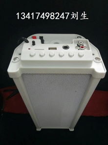 無(wú)線人體感應(yīng)定向有源講解音箱